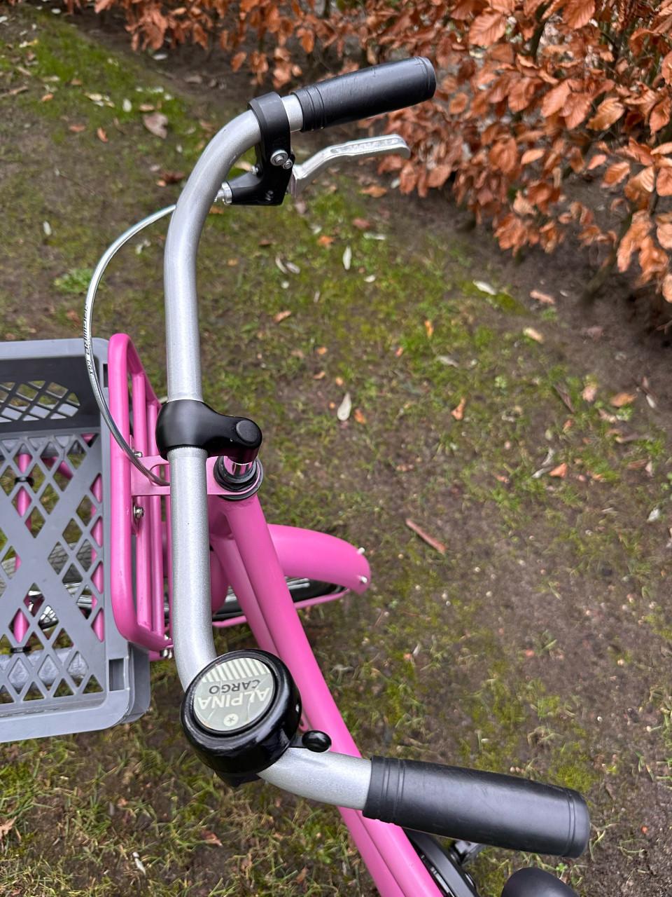 Meisjesfiets - 20 inch - Alpina Cargo Fuchsia Pink Matt