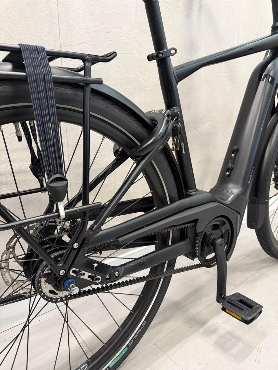 Pegasus Strong EVO 5F Bosch Performance Line CX 750Wh 55CM 8