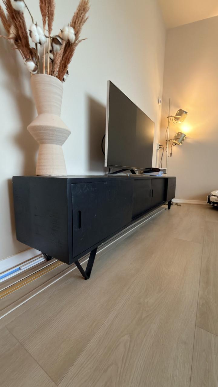 Mangohout tv meubel zwart