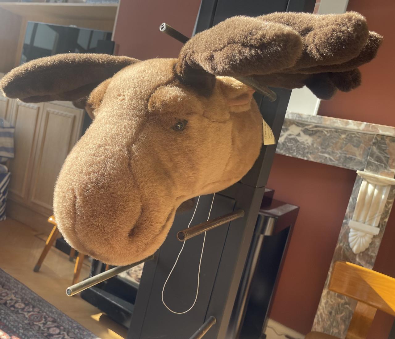 Eland kop wanddecoratie