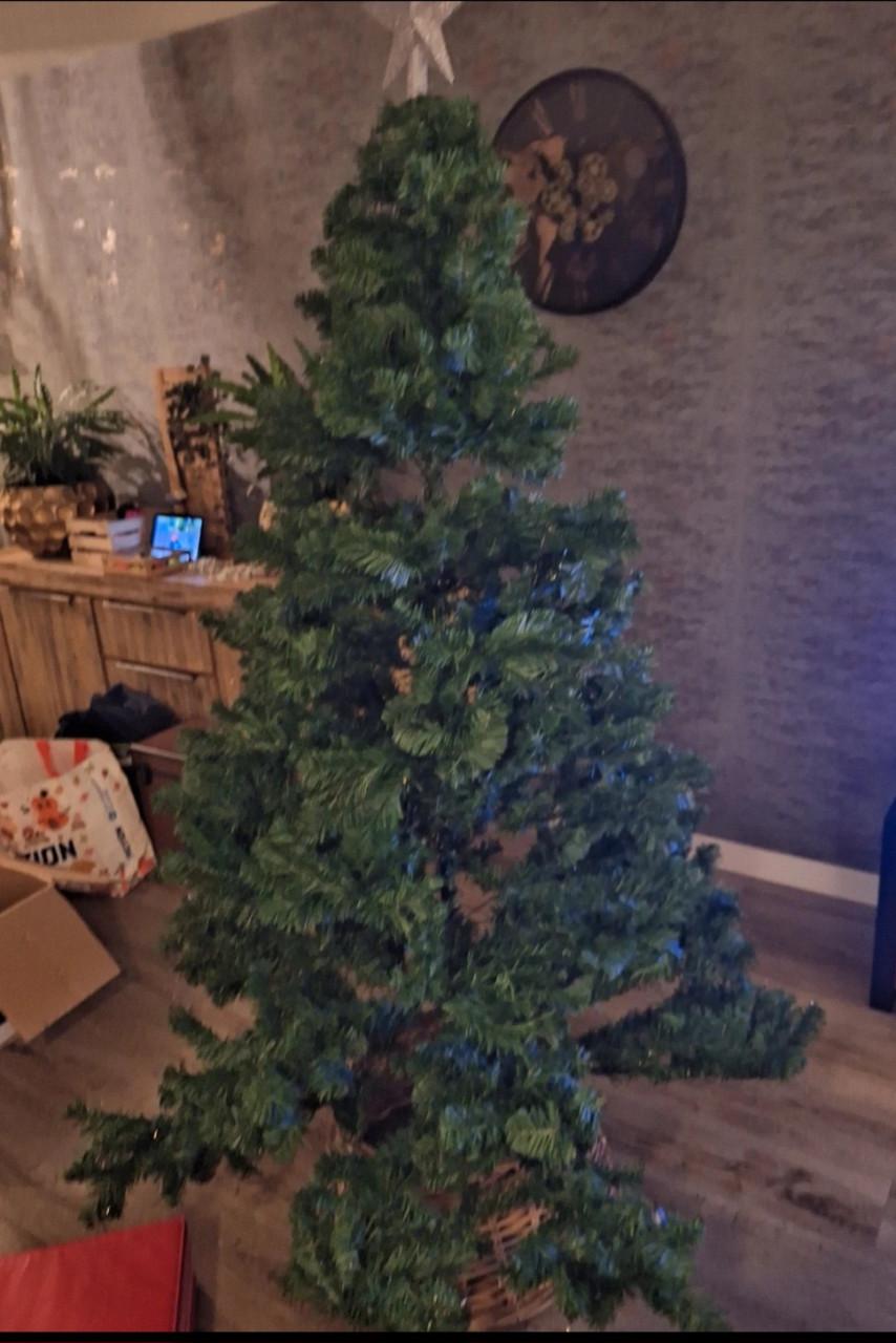 Kerstboom