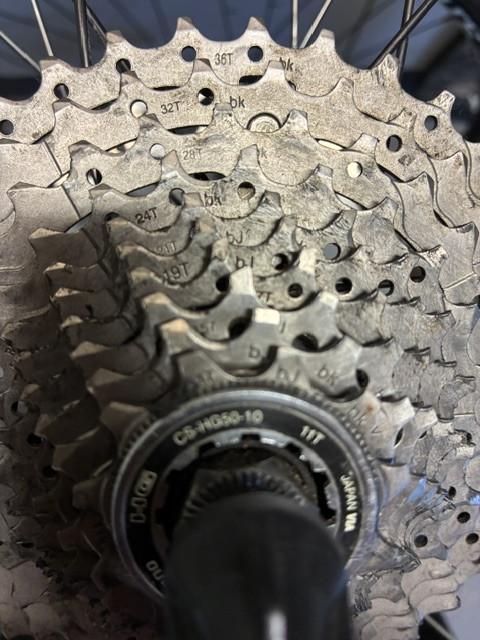 Mountainbike Cannondale Trail 1 29" Alu