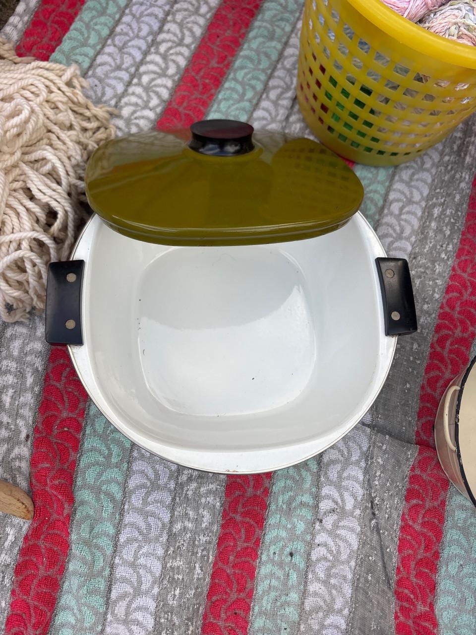 Vinted pan