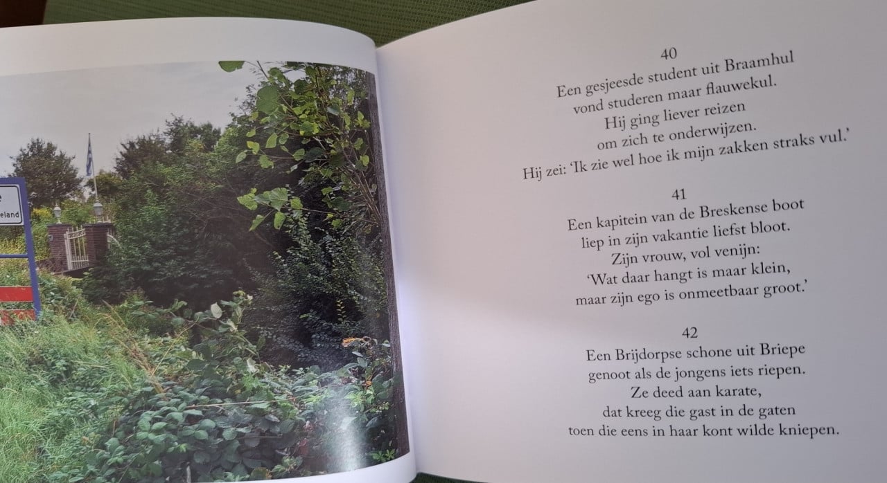 Een reis door Zeeland in 468 limericks, door Peter de Boevere
