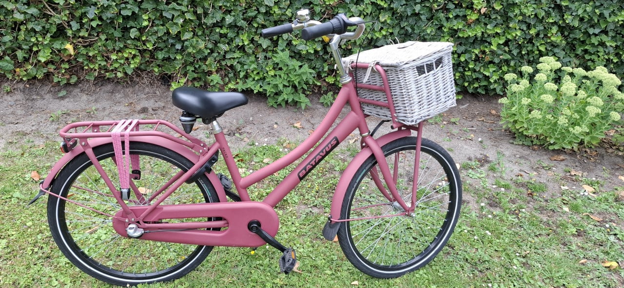 Meisjesfiets 24 inch. Batavus
