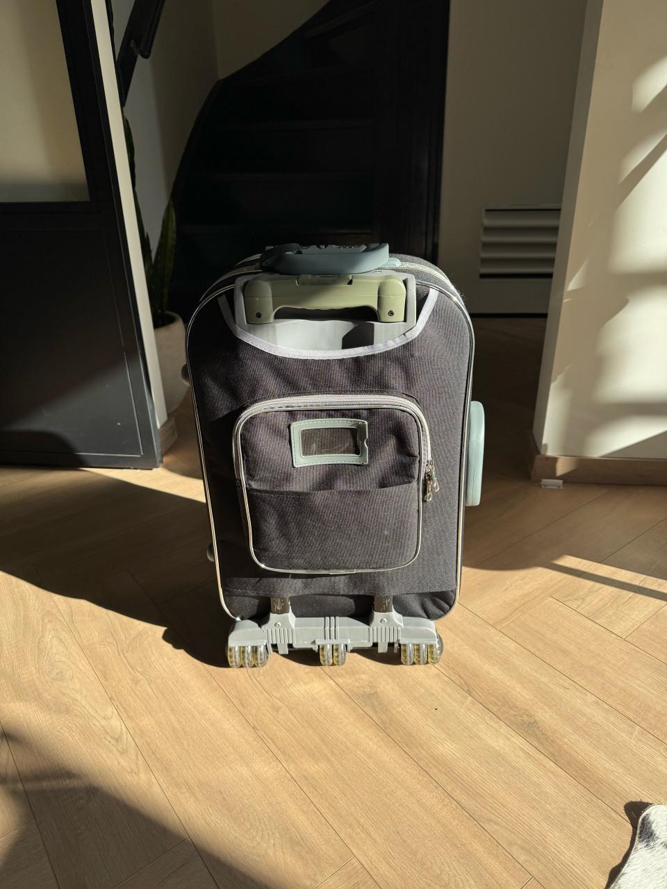 Handbagage of reiskoffer