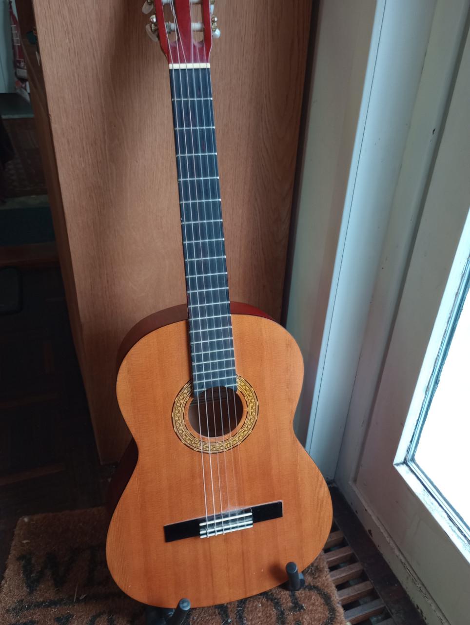 Klassieke/Spaanse gitaar