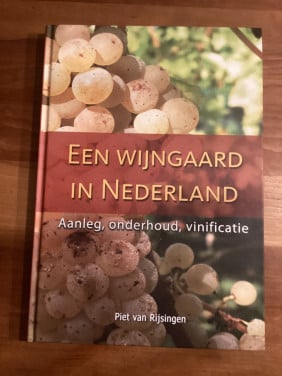 Een wijngaard in Nederland