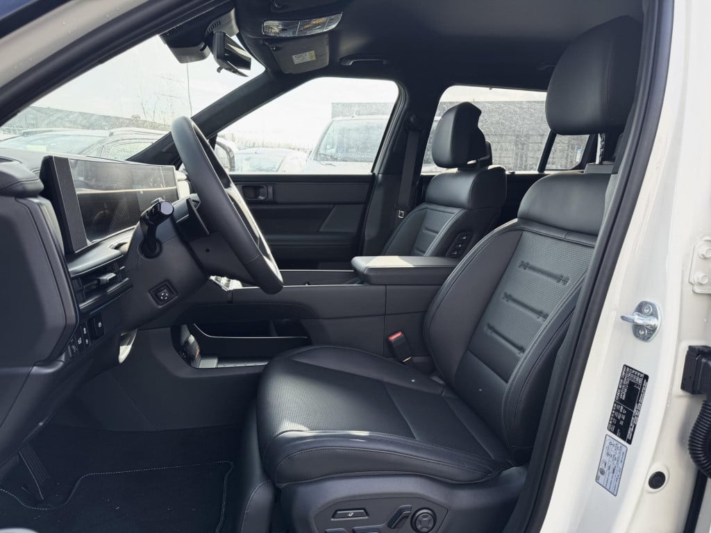 Hyundai Santa Fe 1.6 t-gdi phev black line 4wd 6p. cyber sage lakkleur