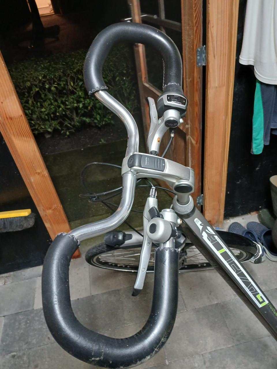 Gazelle Chamonix damesfiets