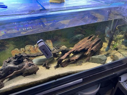 Te koop aquarium 145 cm breed