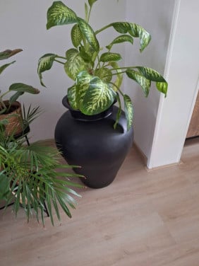 Supergave grote pot zwart kan binnen of buiten