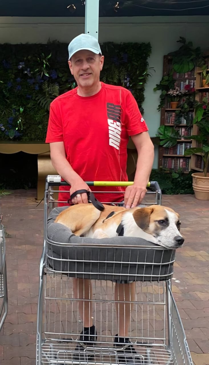 Hond zoekt baasje
