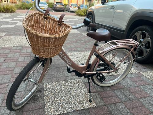 Meisjes fiets