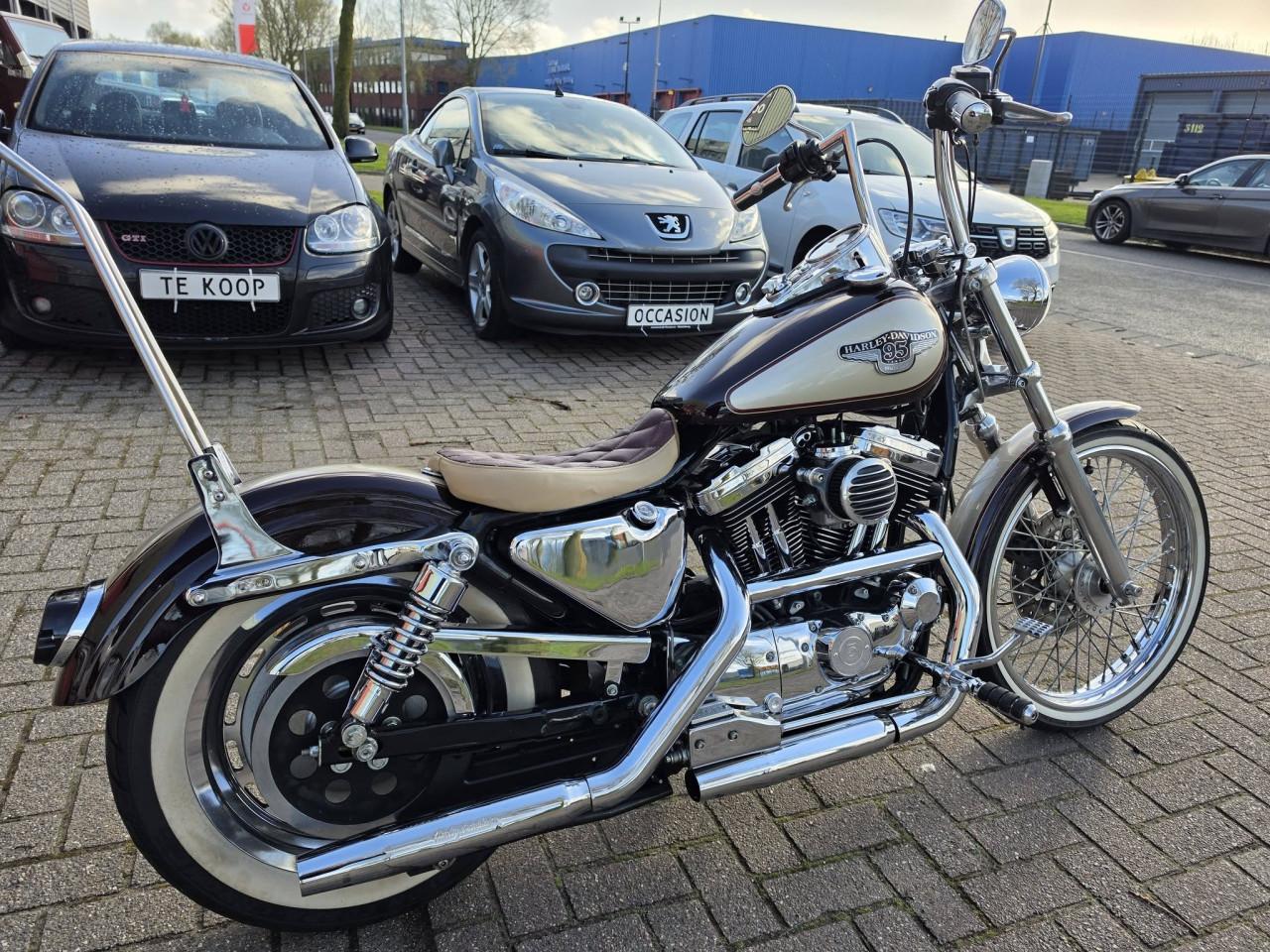 Harley-Davidson 1200😍 Custom Sportster – 95th Anniversary Edition