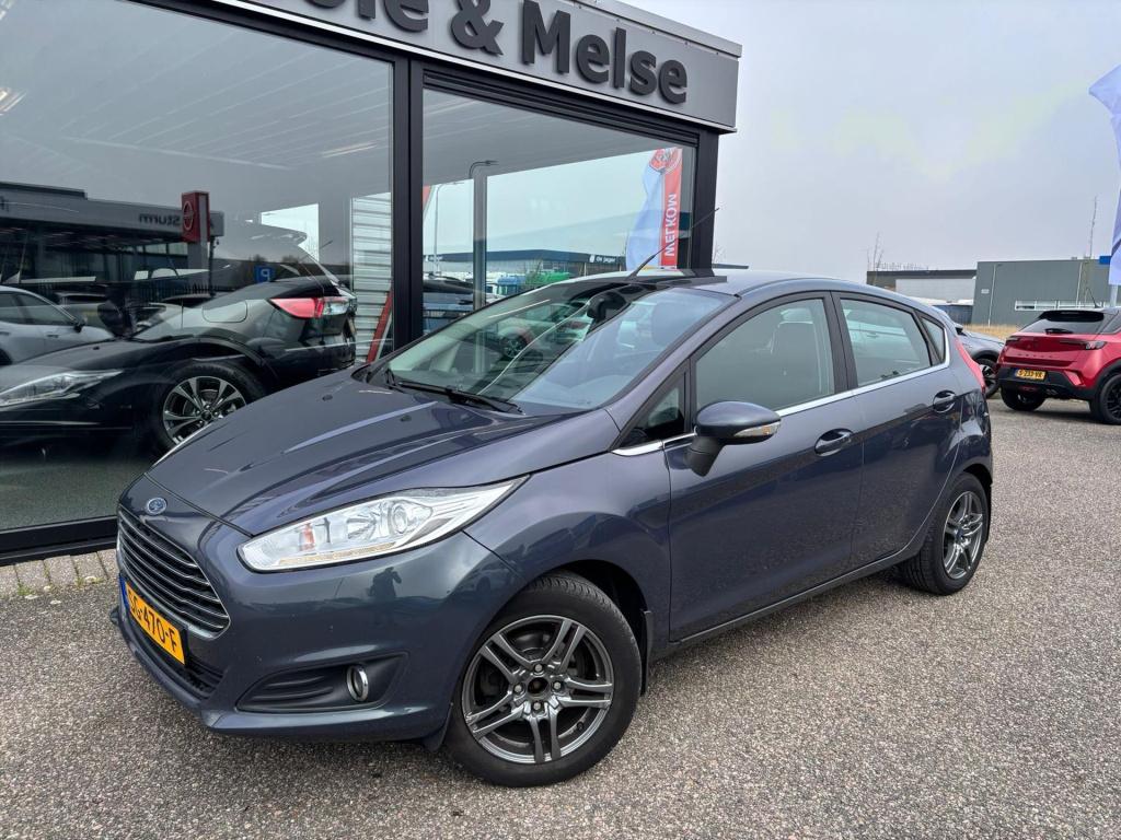 Ford Fiesta 1.0 ecoboost 100pk 5d s/s titanium, winterpakket