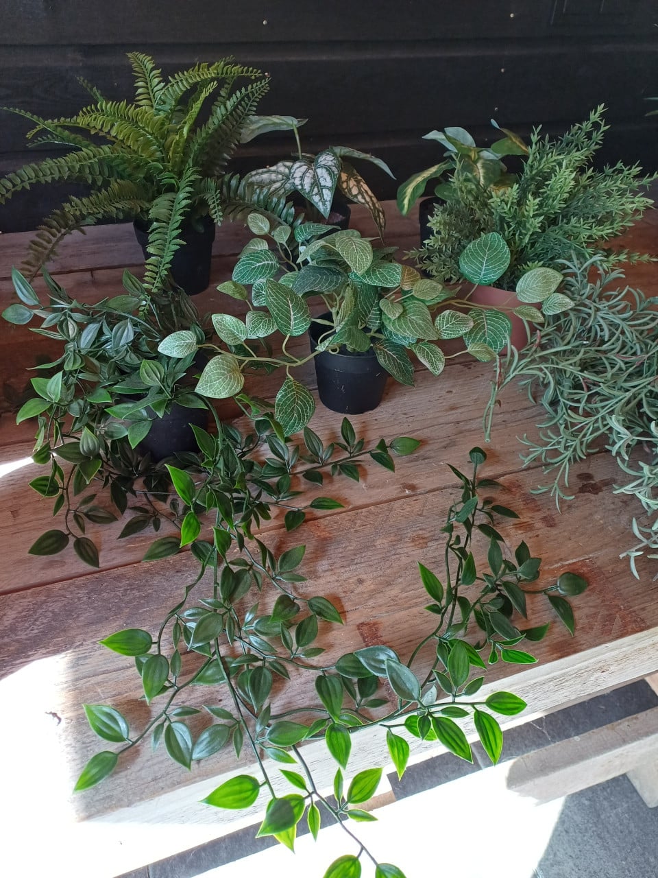 Set van kleine kunst plantjes