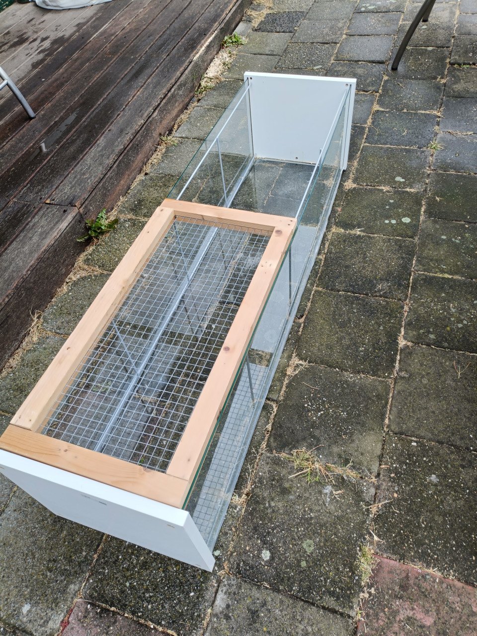 Grote bak hamster muiz of zo.