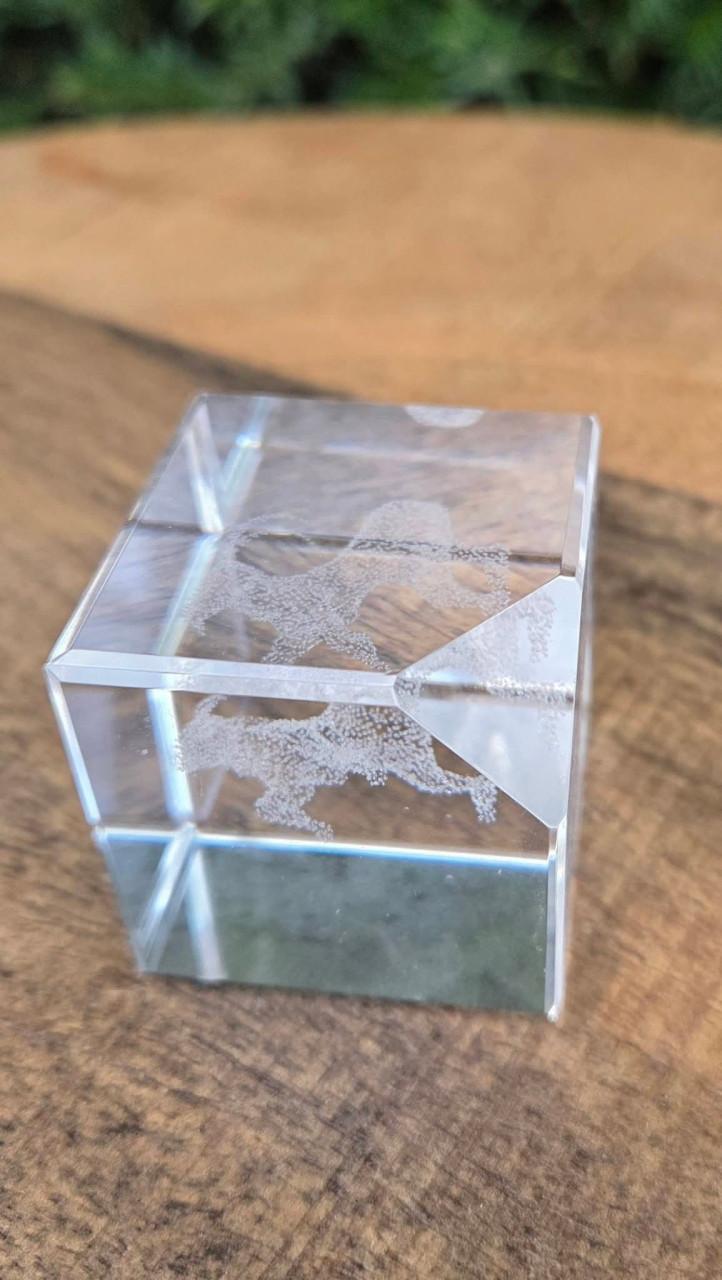 Decoratie met een 3D lasergeëtste afbeelding van een Steenbok.