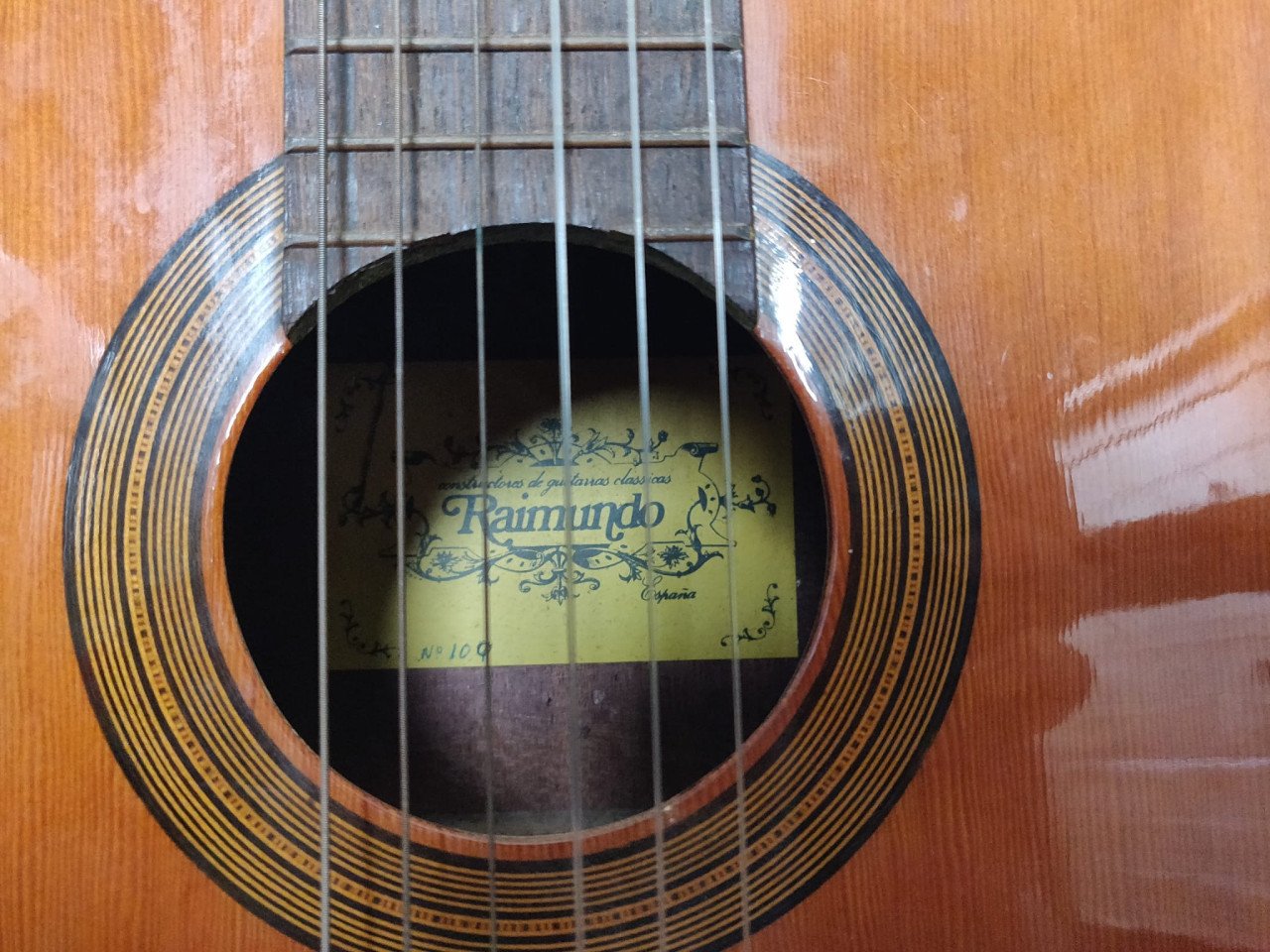 Gitaar met potentie! (Raimundo)