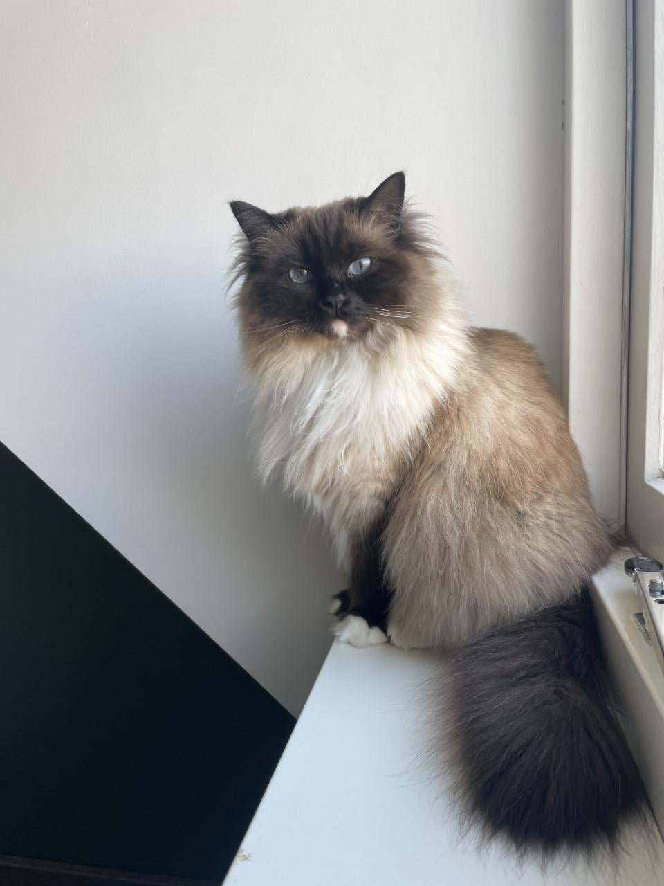 Ted en Nova zijn op zoek naar personeel