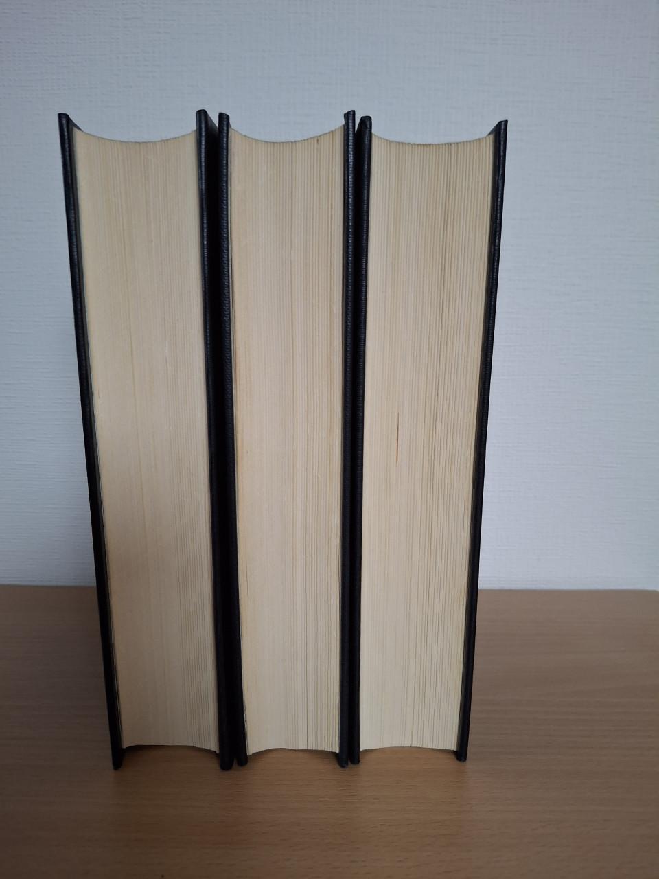 J. Calvijn Institutie vertaald door Dr. A. Sizoo