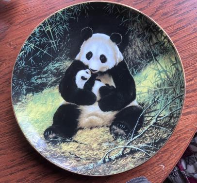 The panda wandbord met ophangclip
