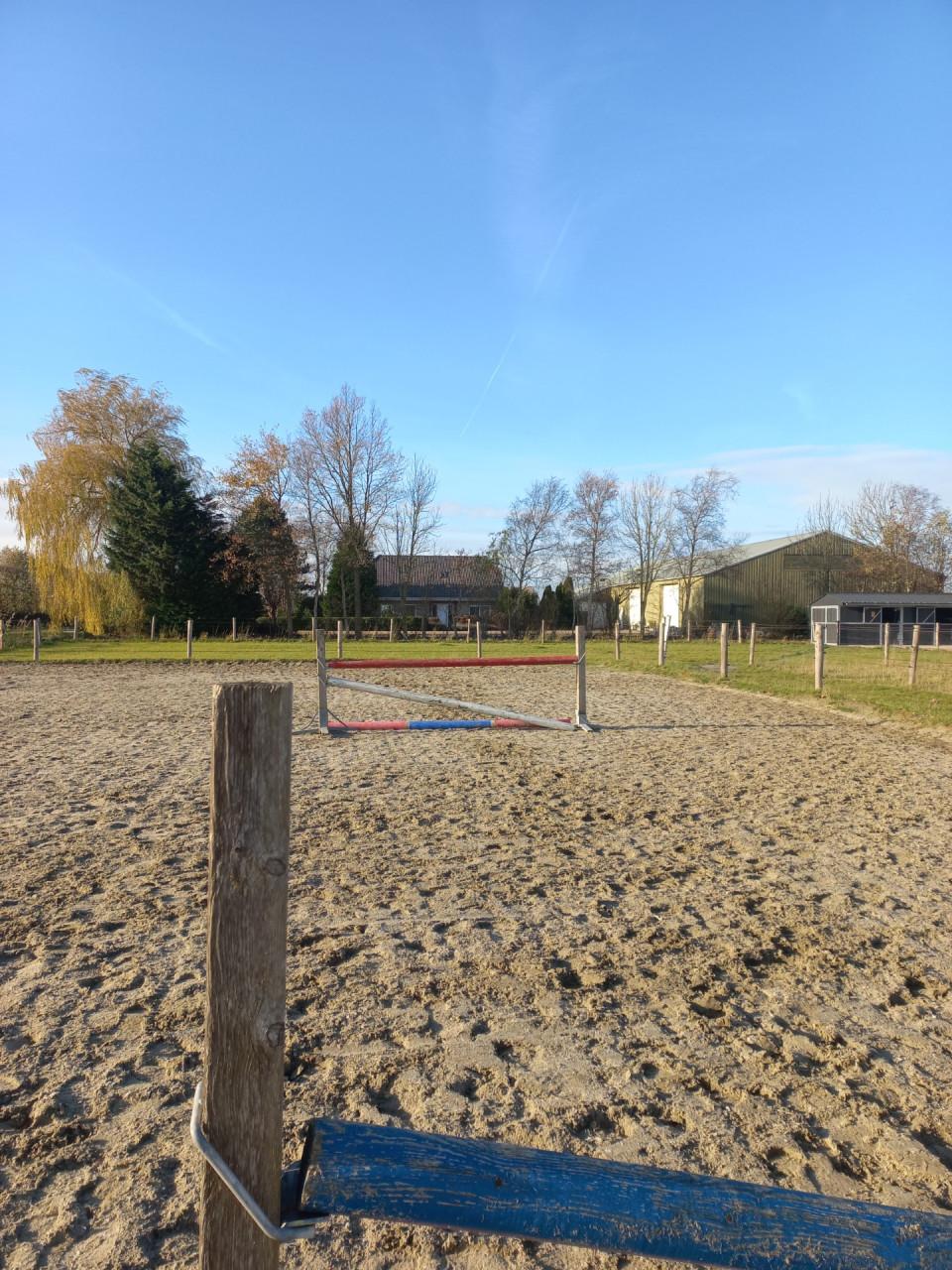 Hindernis staanders en balken set paarden