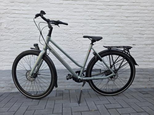 Batavus dinsdag exclusieve 2024