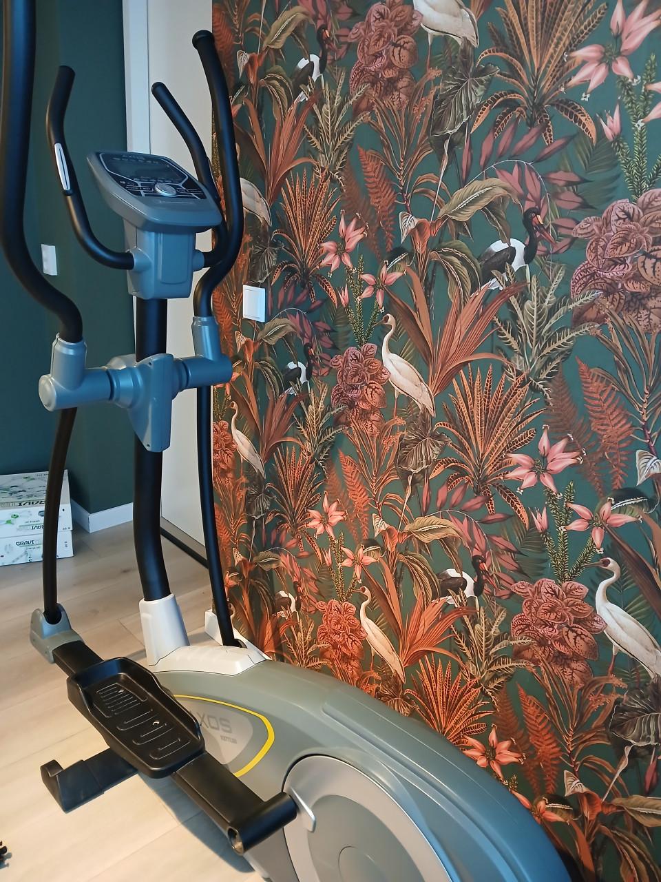 Crosstrainer axos kettler