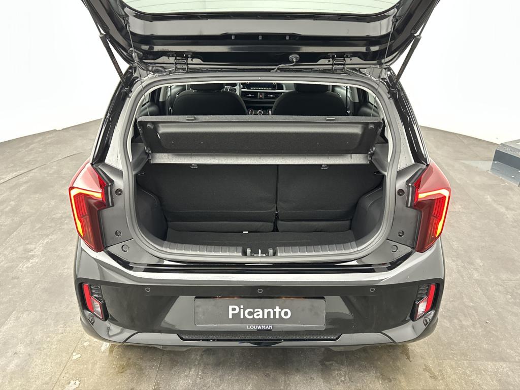 Kia Picanto 1.0 dpi dynamicplusline poetsen en fotos !zsm online! nieuw/ver