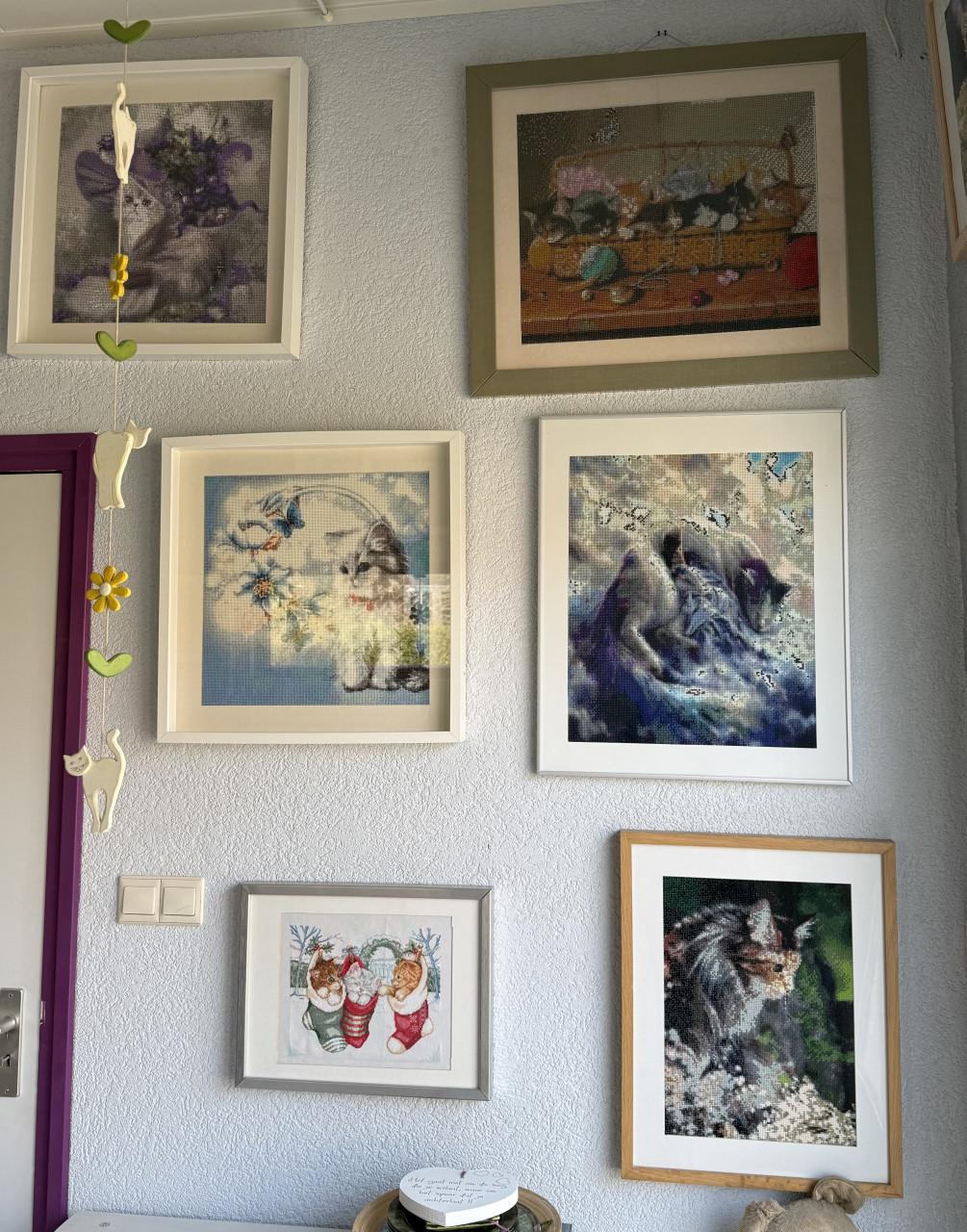 Borduur werkjes / daimantpainting ingelijst