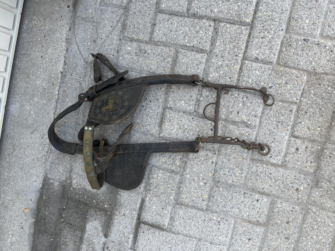 Paardengareel met hoofdstel met bit