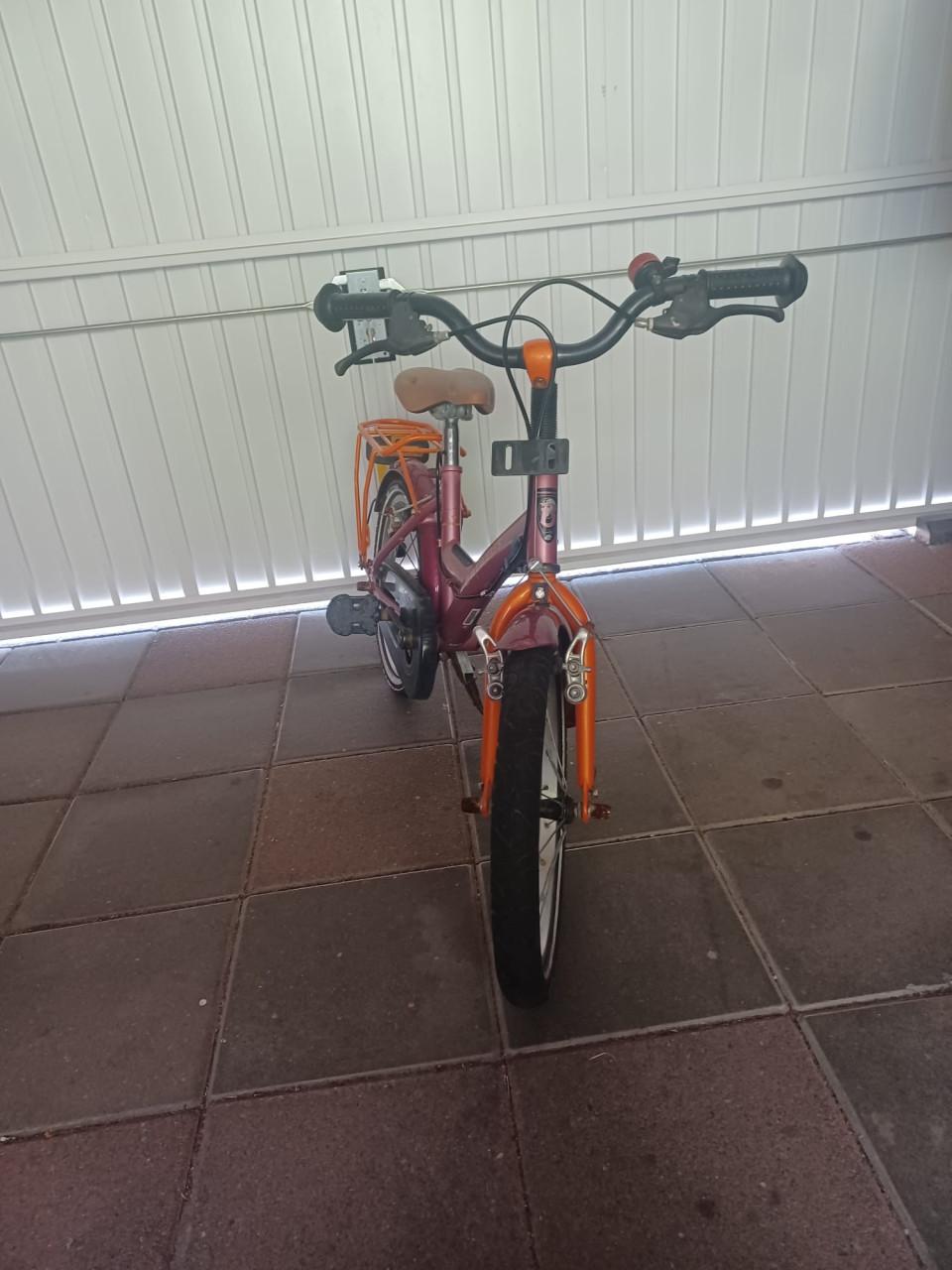 Kinderfiets Batavus Koala 16 inch