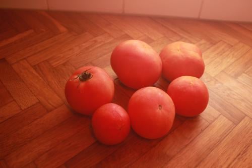 Tomaten uit eigen tuin