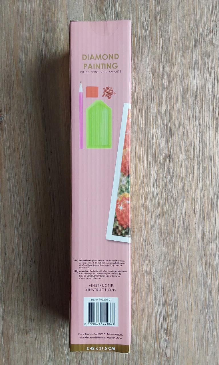 Diamond painting set