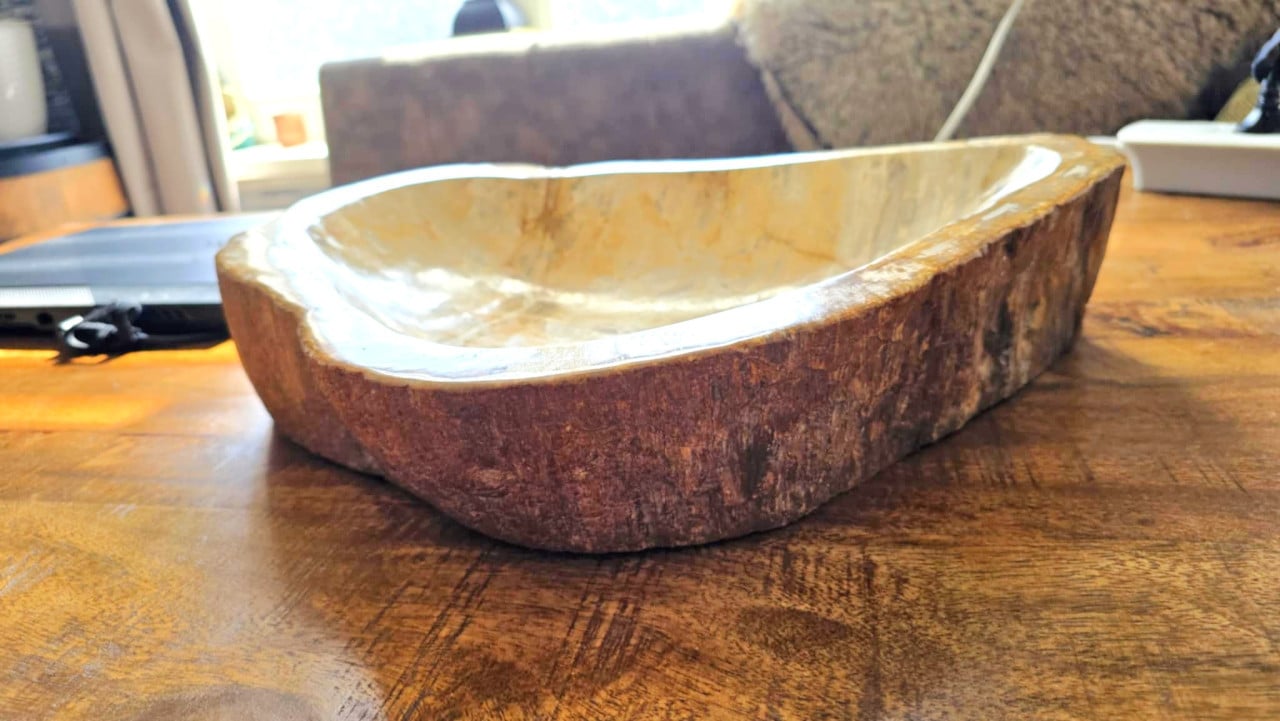 Schaal van versteend hout