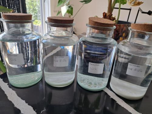 Ganswater, keuze uit CO2 en Cup of Life