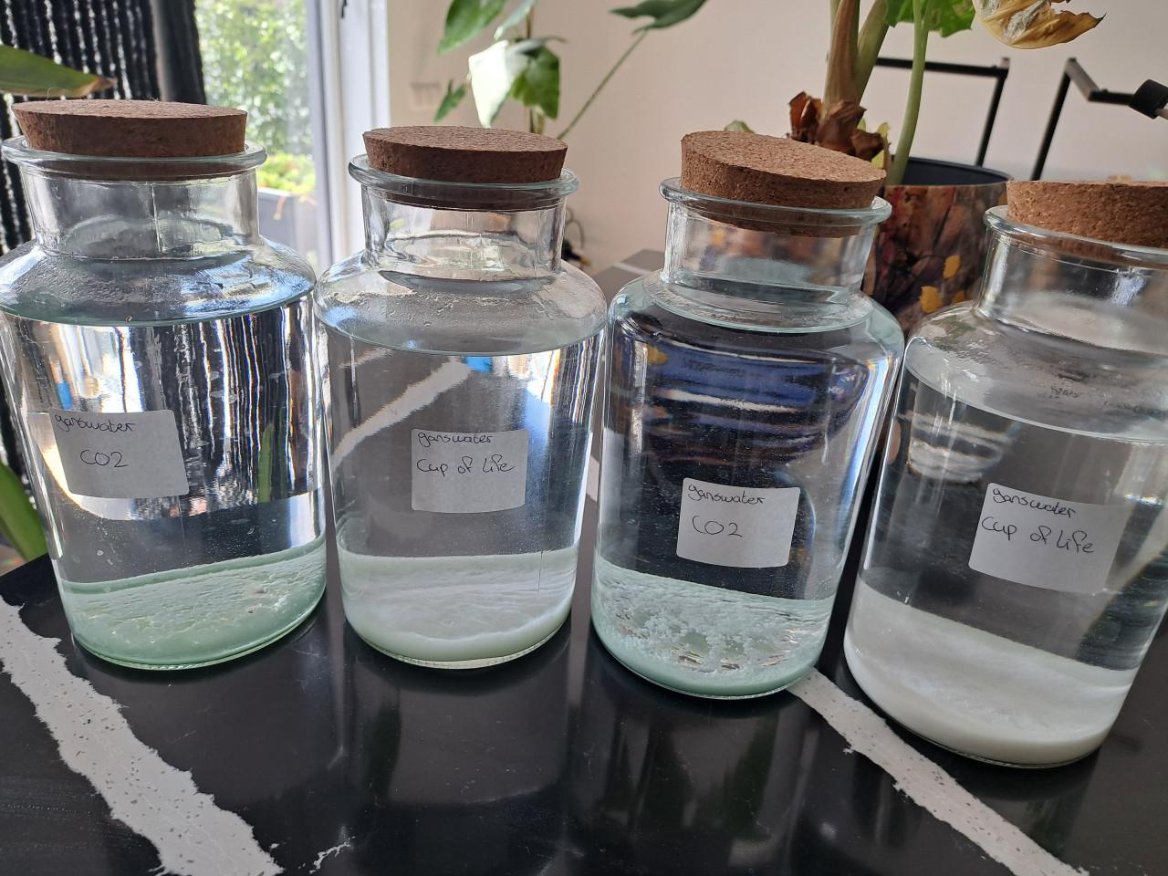 Ganswater, keuze uit CO2 en Cup of Life