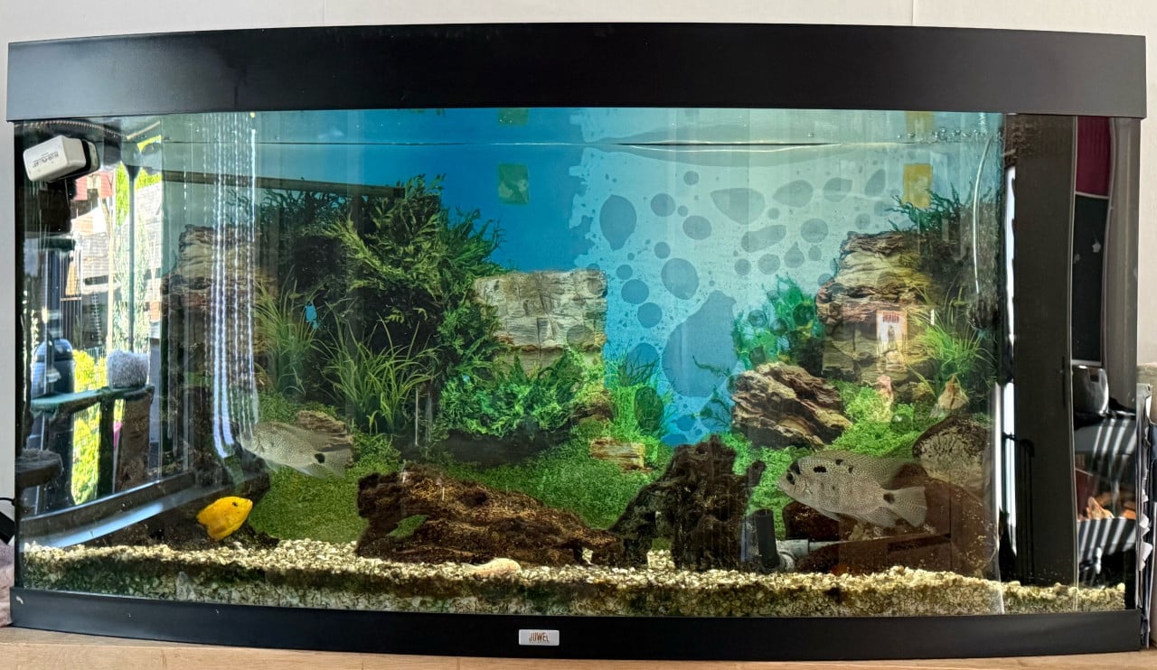 Juwel Vision met meubel