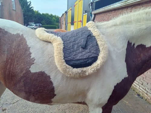 Schapenwollen dekje