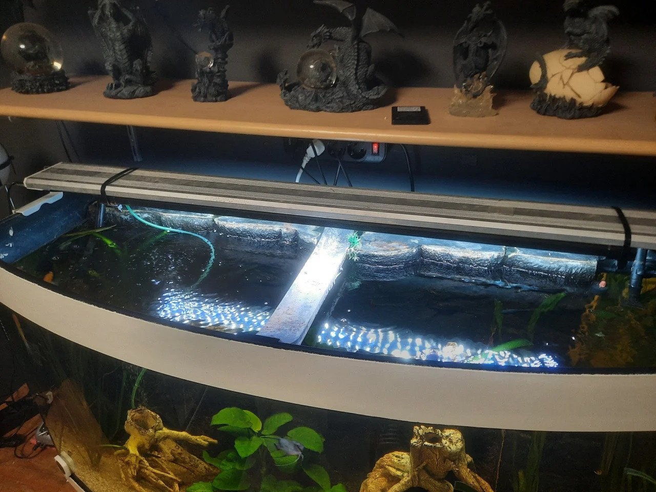 2x aquarium met  veel accessoires