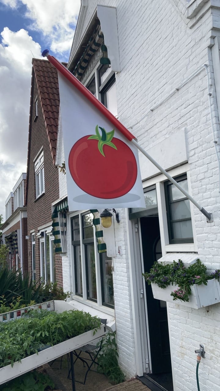 Tomatenplanten, 25 soorten