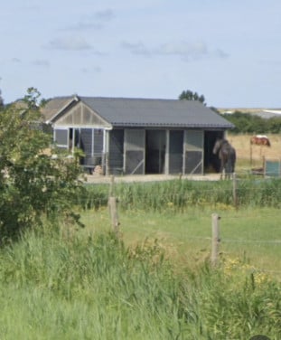 Paardenbox te huur met vrije uitloop zandpaddock Westkapelle