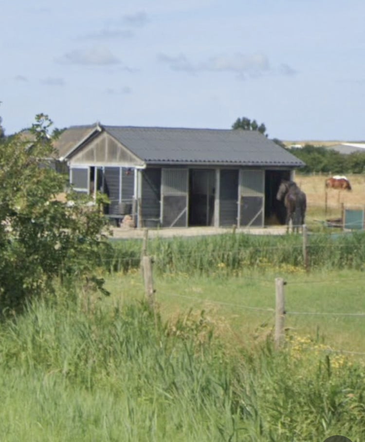 Paardenbox te huur met vrije uitloop zandpaddock Westkapelle