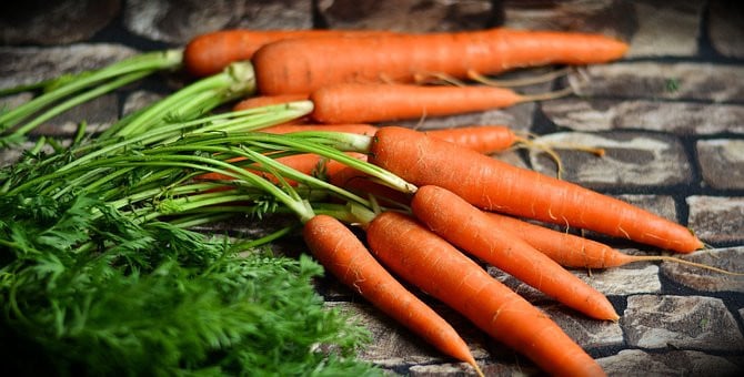 Biologisch moes tuinieren in Middelburg
