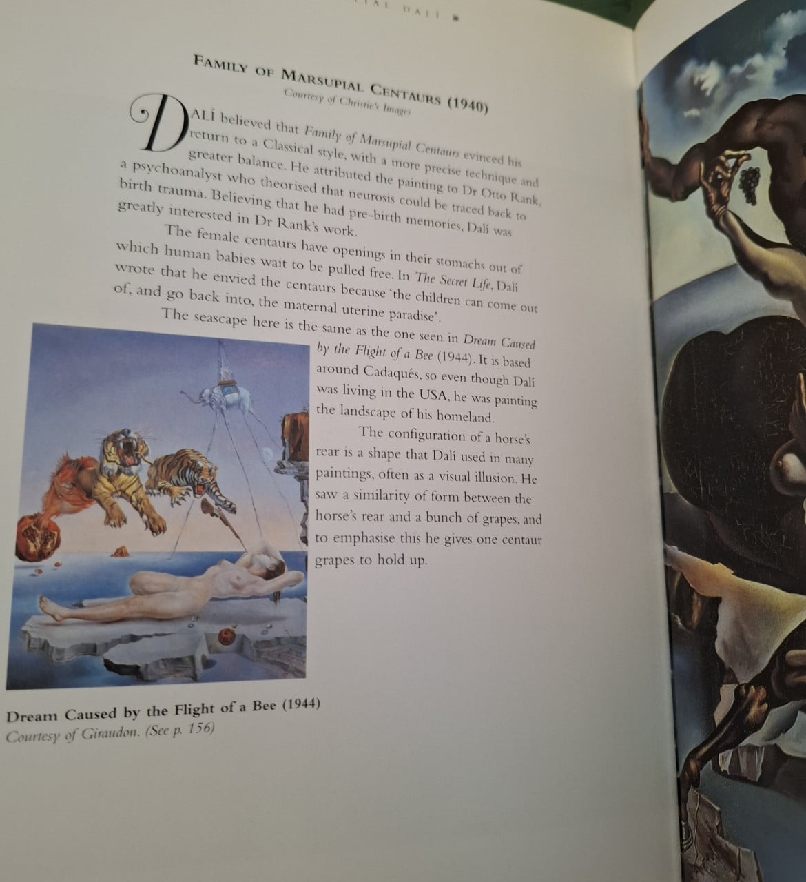Essential Dali, door Kirsten Bradbury.  Uitg. Dempsey Parr