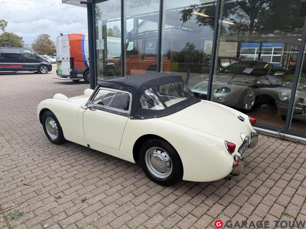 Austin Healey Onbekend sprite mk1 frogeye