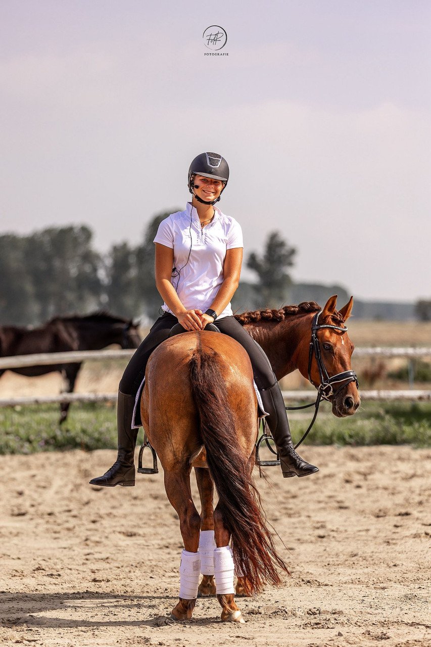 Knappe d pony