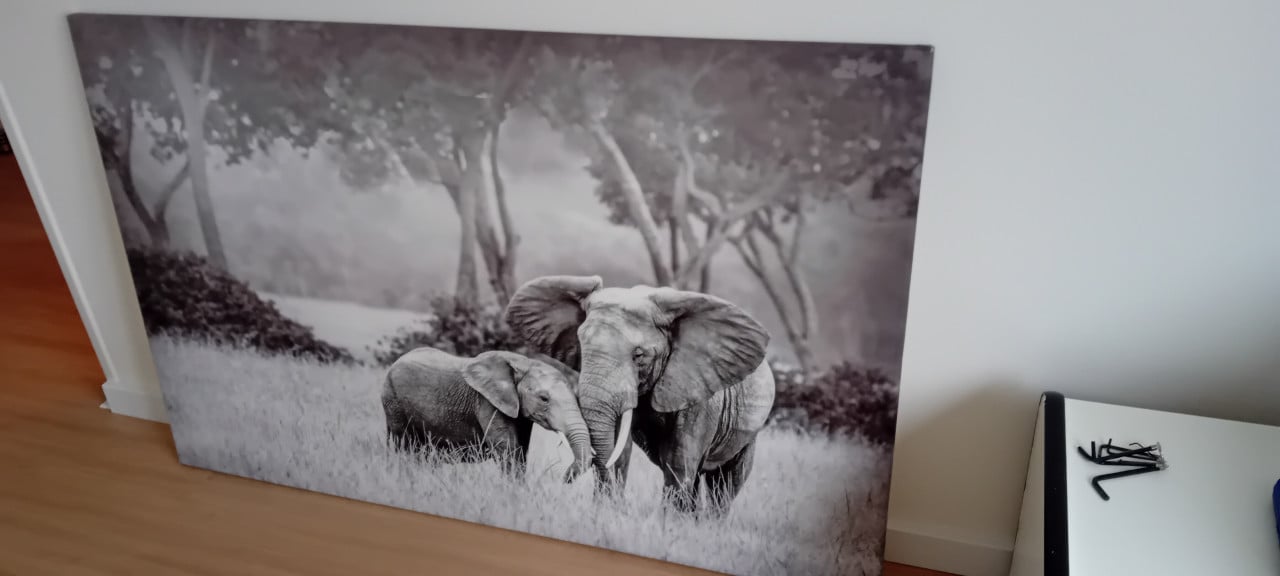 Canvas olifanten 140x90cm